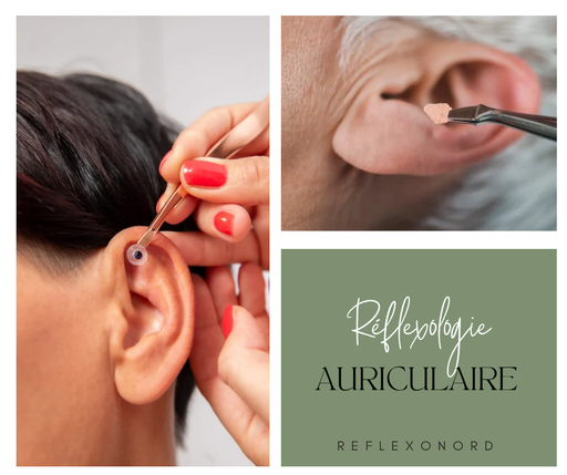 Réflexologie auriculaire