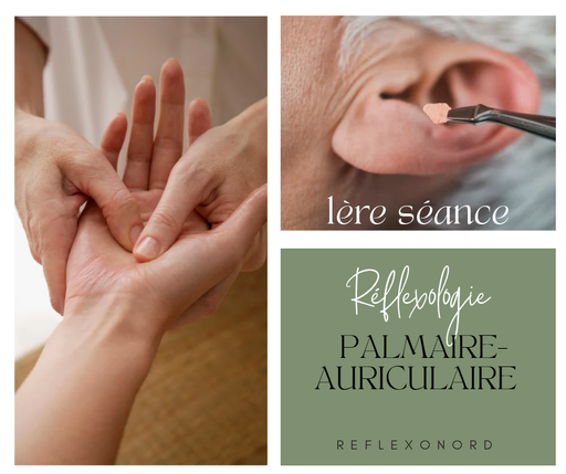 1ère séance - Réflexologie palmaire auriculaire